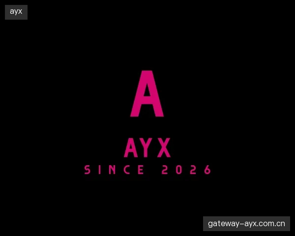 认识ayx机构